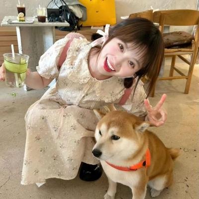 花落水流红